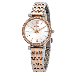 Fossil_ES4649
