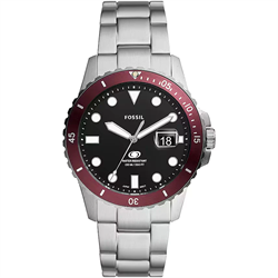 Fossil_FS6013