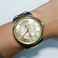 Borel_GB7350X-15211