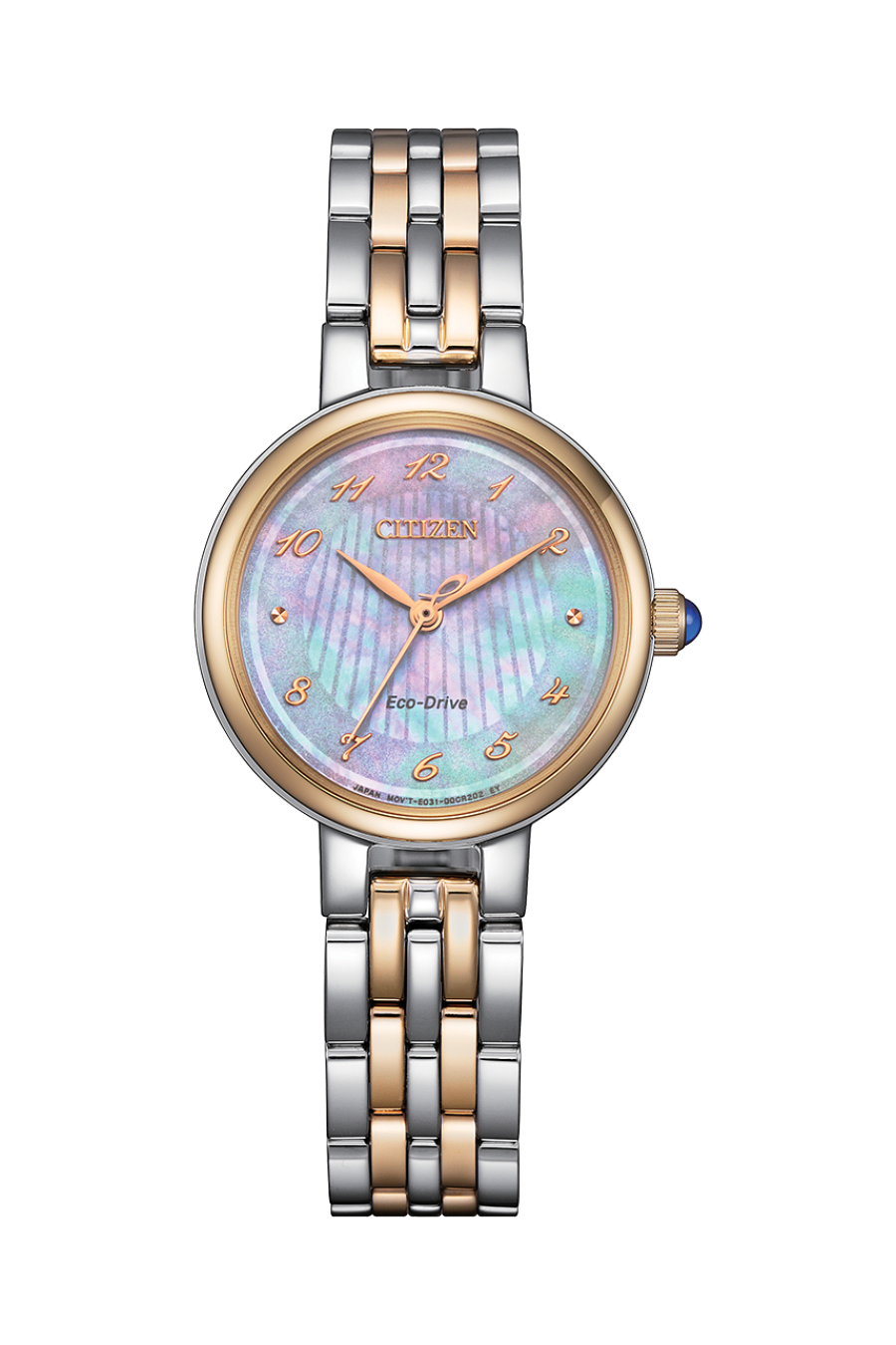 Citizen_EM0996-84Y