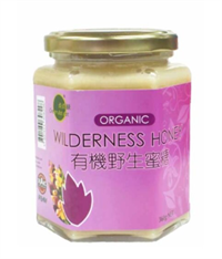 Green Dot Dot - Organic Wilderness Honey (360g)