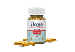 Beche Sea Cucumber Powder 海參養生素