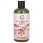Petal Fresh Repair & Nourish Ginger & Rosewater Shampoo 16oz