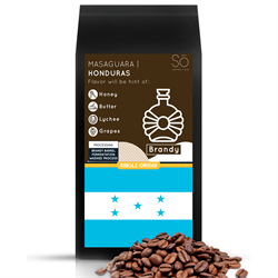 Coffee Bean - Honduras Masaguara (Brandy) (100g)