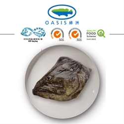 Oasis Giant Grouper Head