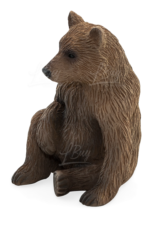 Grizzly Bear Cub