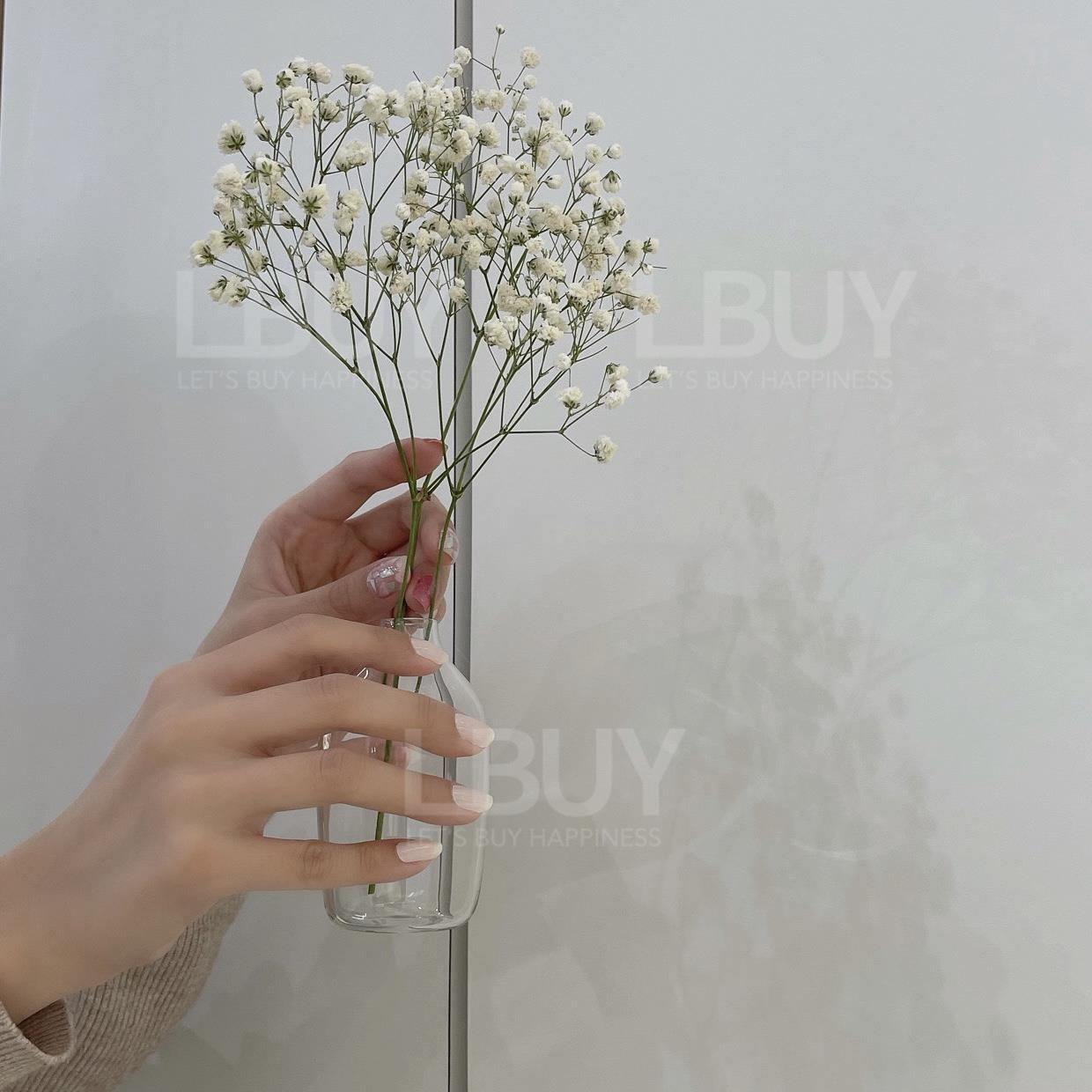 NAIL ｎ THINGS 純真 指甲貼