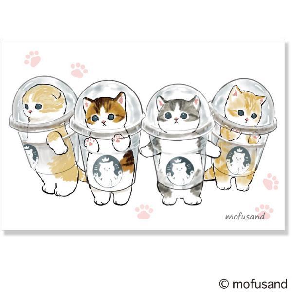 Mofusand 鯊魚貓杯杯貓明信片卡