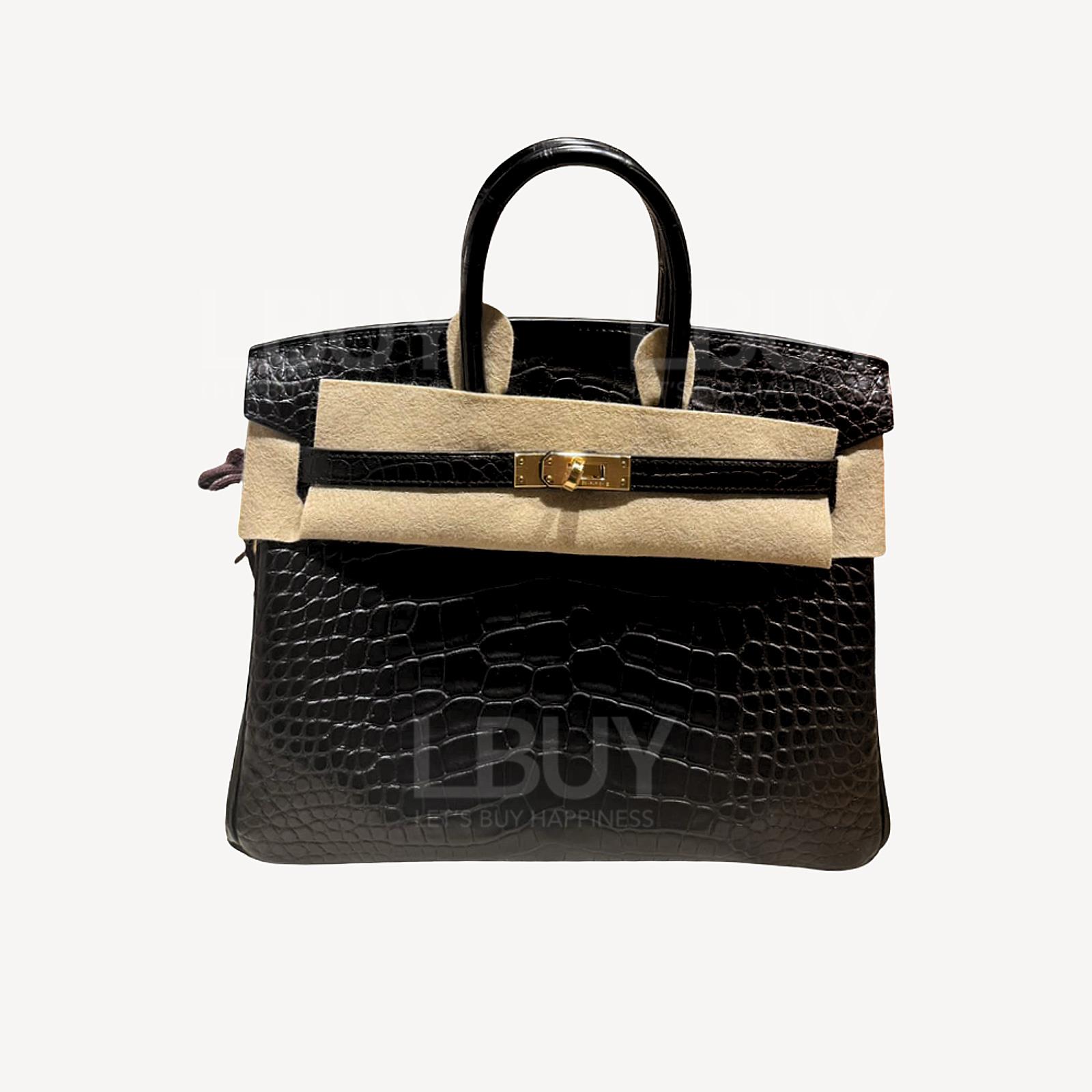 Hermes Birkin 25 89 Noir CC Alligator Mat Matte Crocodile